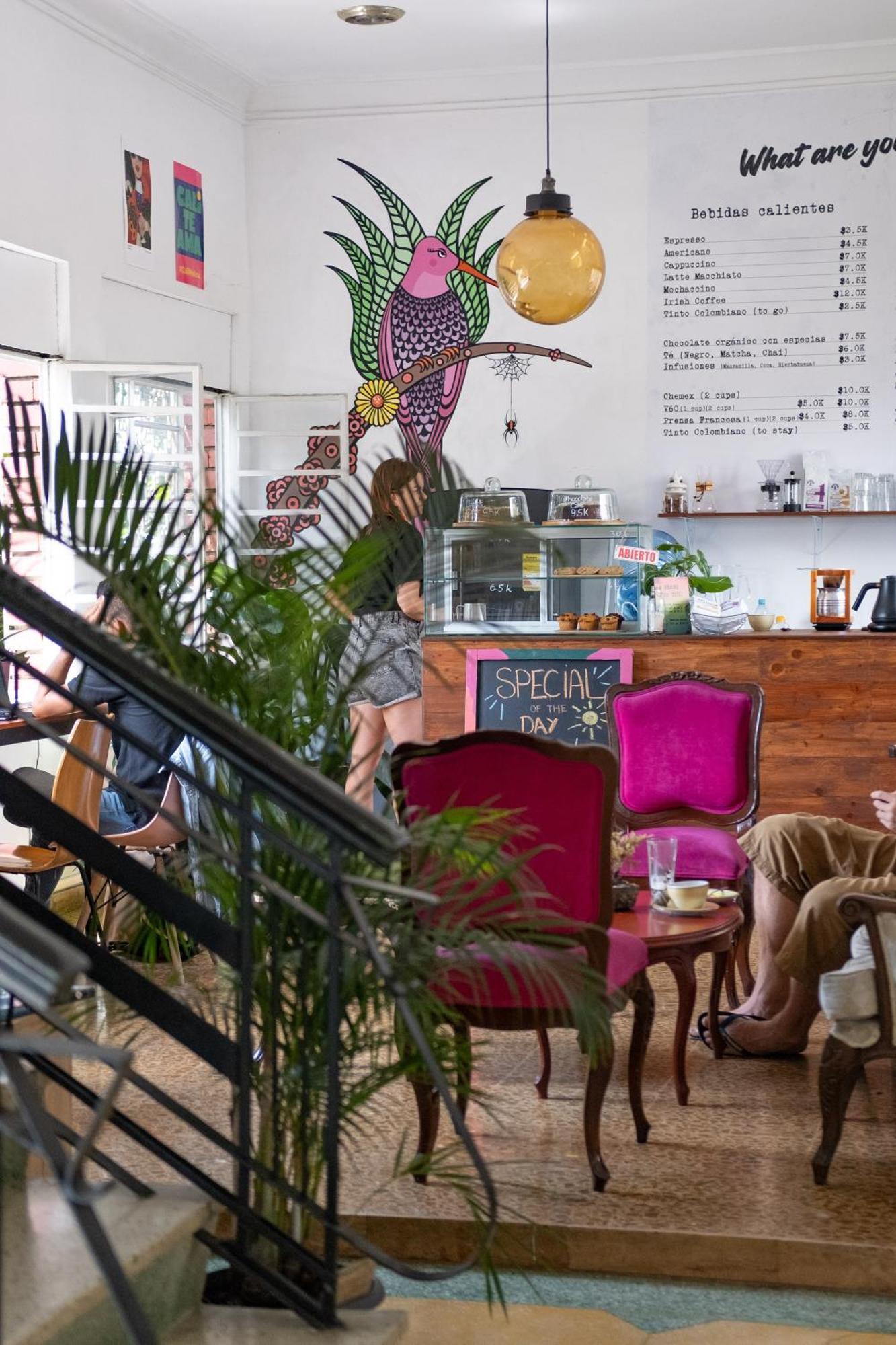 La Palmera Hostel Cali Luaran gambar